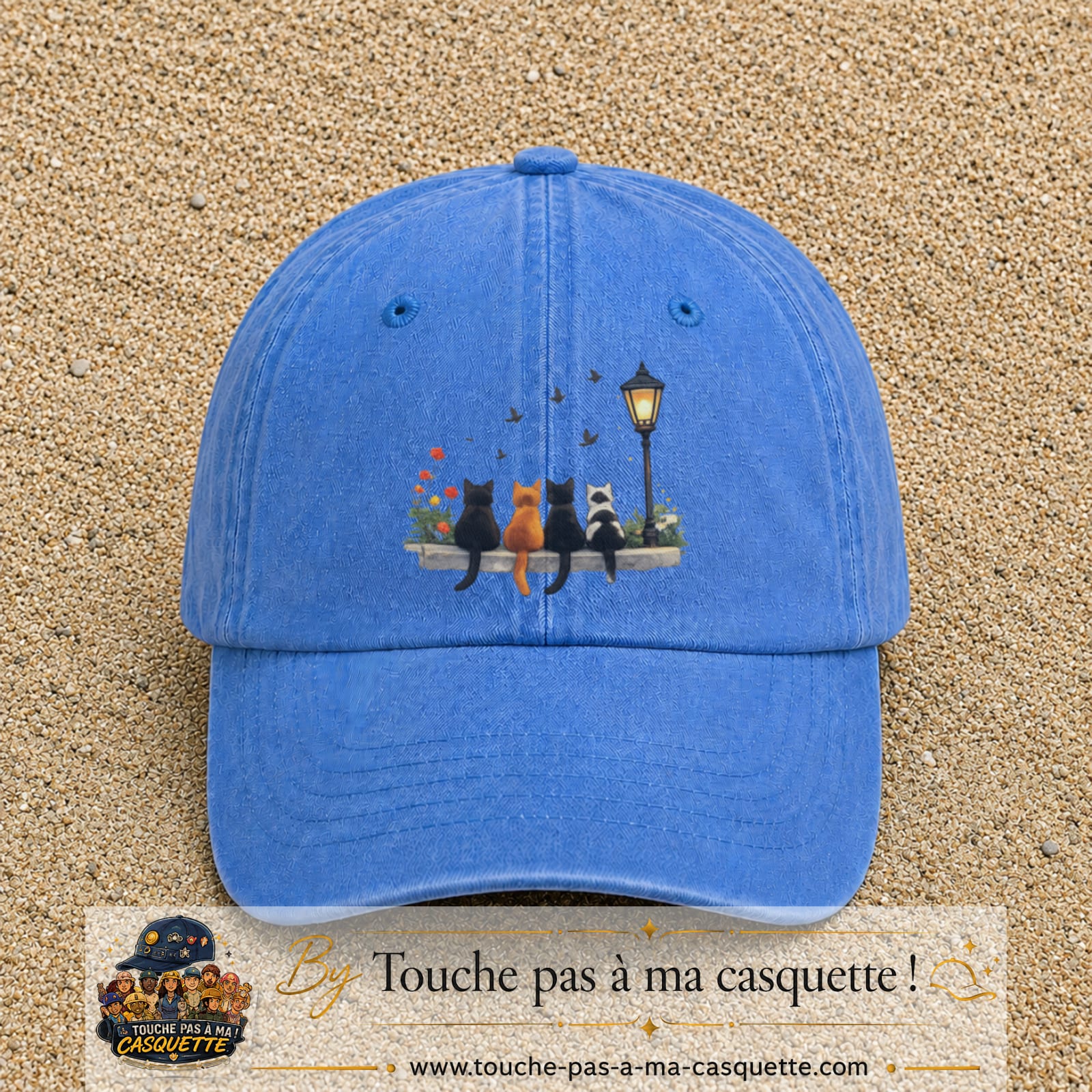 Image principale produit35grosBLC - casquette Bleu ciel délavé avec visuel Chats noirs banc automne 7 cm