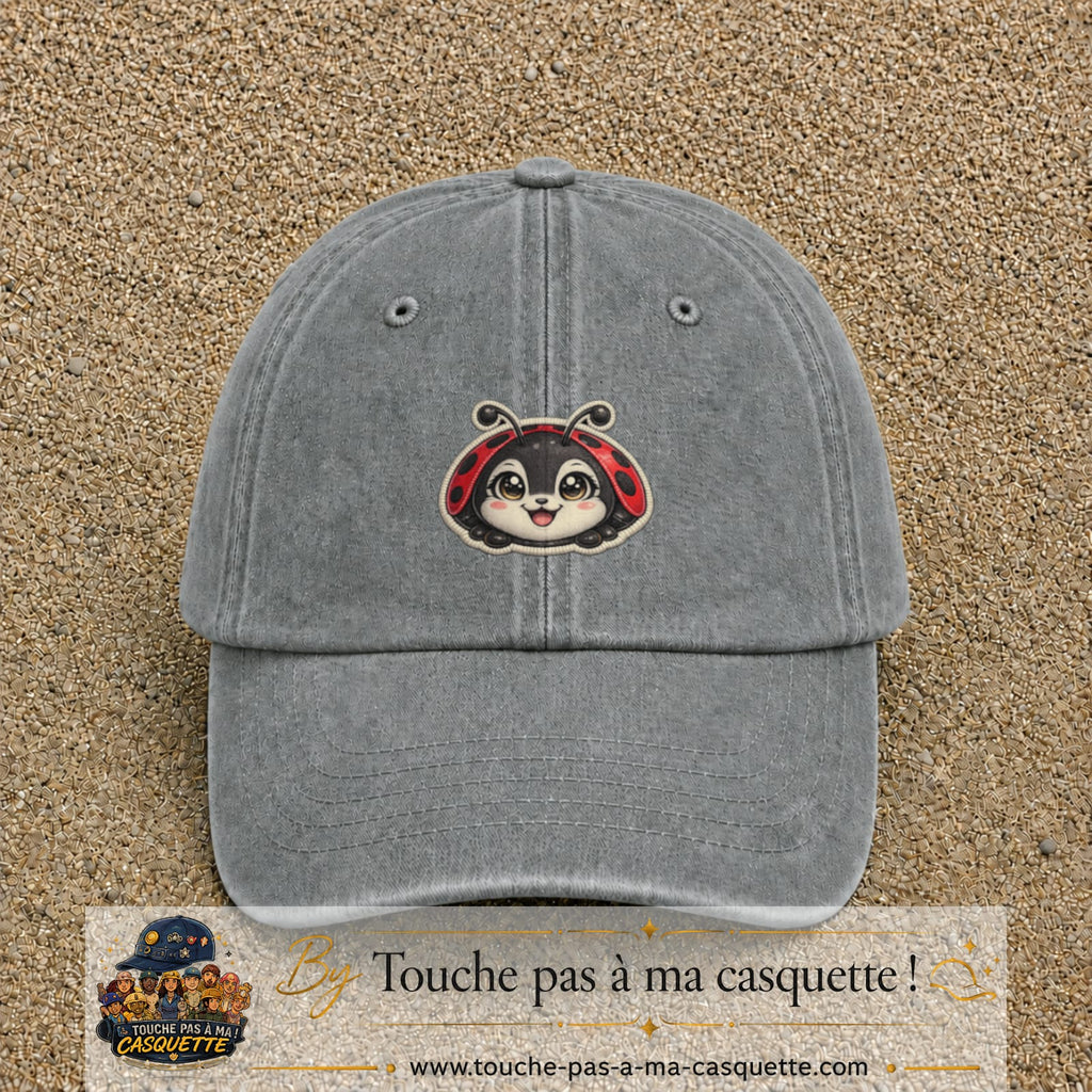 Casquette Gris délavé motif Coccinelle rouge 5 cm - vue principale