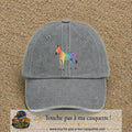 Casquette Gris délavé 100% coton avec motif Zèbre arc-en-ciel 7 cm - image principale