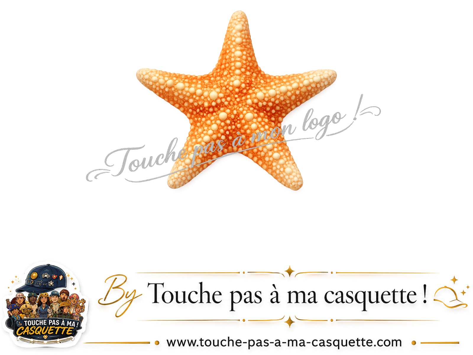 Logo logo387 / motif Étoile de mer utilisé sur la casquette 5 cm