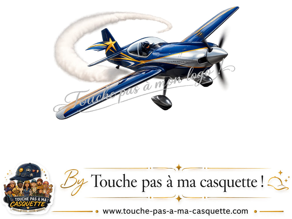 Visuel du motif Avion de voltige