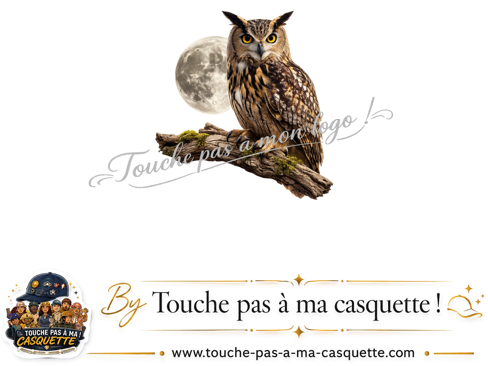 Visuel du motif Hibou sous la lune