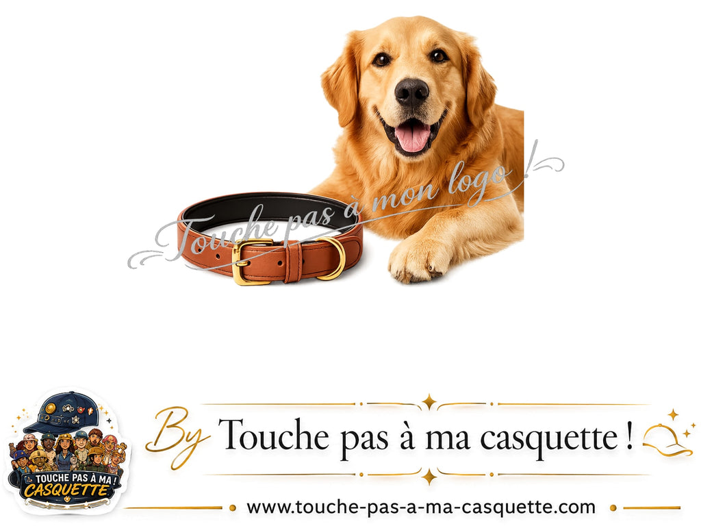 Visuel du motif Chien avec collier