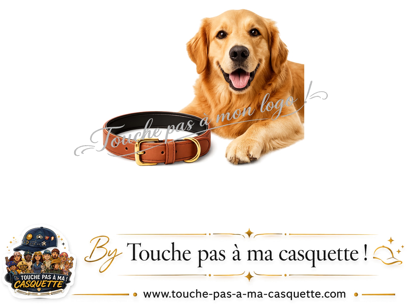 Visuel du motif Chien avec collier