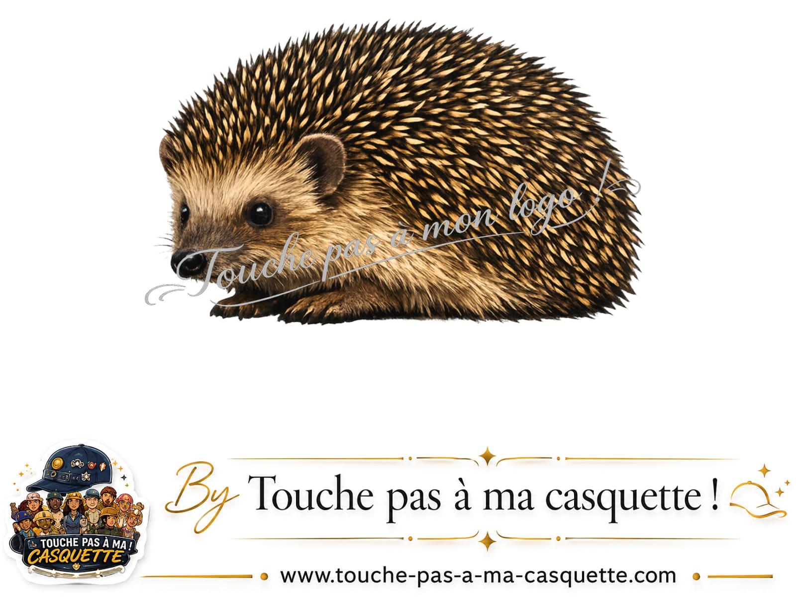 Visuel logo192 - Hérisson réaliste pour casquette personnalisée
